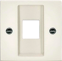 

Лицевая панель для розетки ABB, Basic 55 1753-0-0211