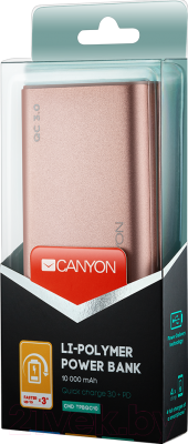 Портативное зарядное устройство Canyon CND-TPBQC10RG