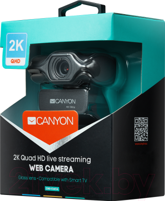 Веб-камера Canyon CNS-CWC6
