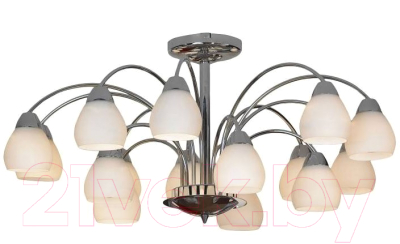 Люстра Lussole Apiro LSF-2403-15