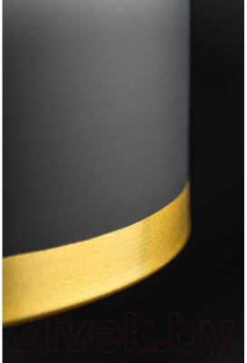 Потолочный светильник GTV Goldi OS-GOLD2-11-DEC (черный/золото)