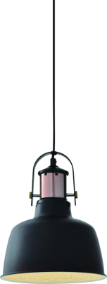 Потолочный светильник GTV Noor OS-NOOR-10-DEC (черный)