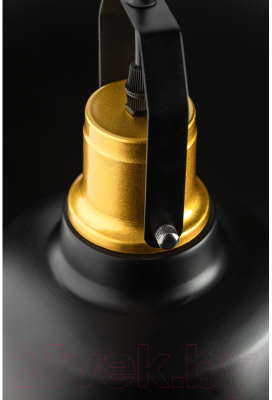 Потолочный светильник GTV Monroe OS-MON-11-DEC (черный/золотой)