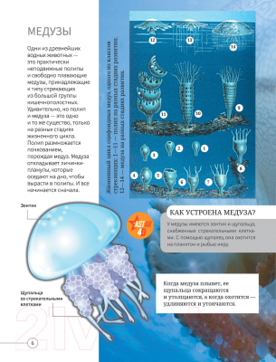 Энциклопедия АСТ Все о подводном мире