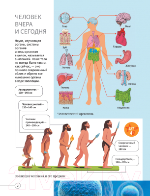 Энциклопедия АСТ Все о теле человека