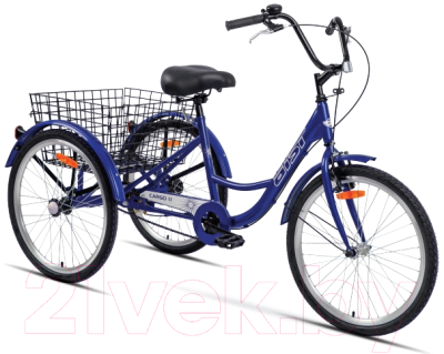 Велосипед AIST Cargo 1.1 2023 (24, синий)
