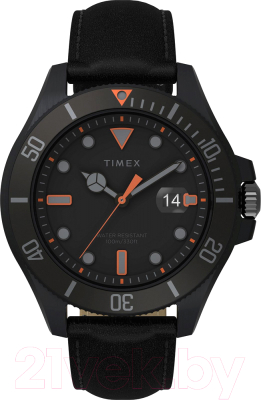Часы наручные мужские Timex TW2V42300