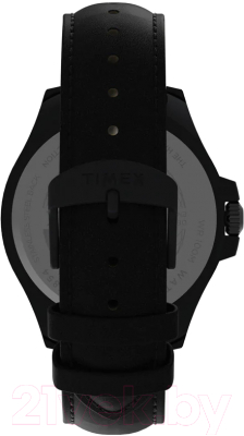 Часы наручные мужские Timex TW2V42300