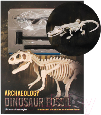 Изображение товара Набор для опытов Darvish Раскопки динозавра / DV-T-3038