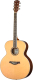 Акустическая гитара Caraya F666 - 