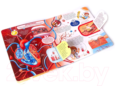 Изображение товара Развивающая книга Malamalama Как устроен человек? С окошками