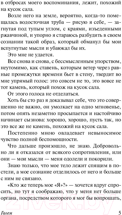 Художественная книга АСТ Голем (Майринк Г.) — фото 6