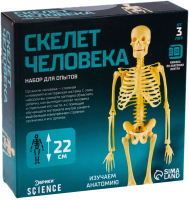 Научная игра Эврики Скелет человека / 7647805 - 