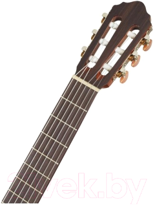 Акустическая гитара Cort AC200-WBAG-NAT