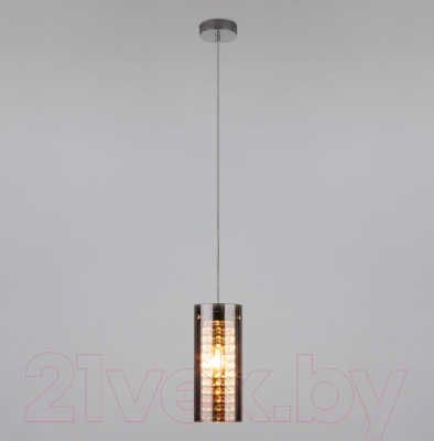 

Потолочный светильник Евросвет, Amigo 1636/1