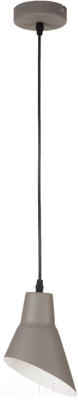 Потолочный светильник Евросвет Nook 50069/1 (серый)