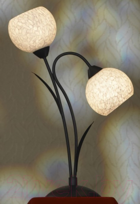 Прикроватная лампа Lussole Bagheria LSF-6294-02