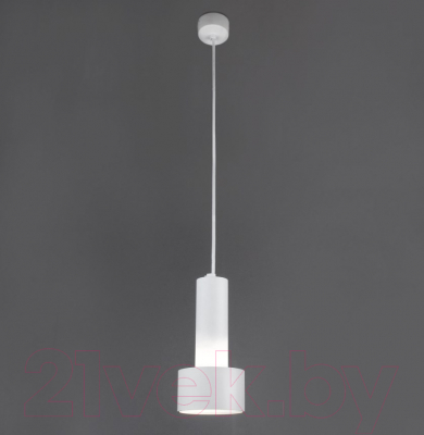 Потолочный светильник Евросвет Charlie 50134/1 (белый)