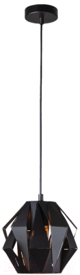 Потолочный светильник Евросвет Moire 50137/1 (черный)