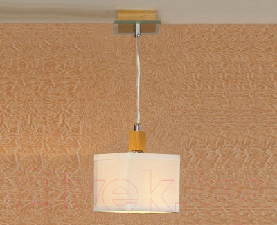 Потолочный светильник Lussole Montone LSF-2506-01