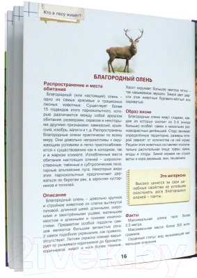 Изображение товара Энциклопедия Проф-Пресс Энциклопедия для детей. Кто в лесу живет?