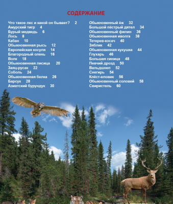 Изображение товара Энциклопедия Проф-Пресс Энциклопедия для детей. Кто в лесу живет?