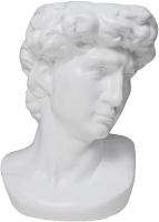 

Ваза AksHome, David