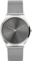 

Часы наручные мужские Skagen, SKW1087