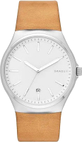 

Часы наручные мужские Skagen, SKW6261