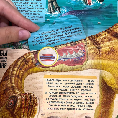Развивающий плакат Malamalama С окошками. Динозавры