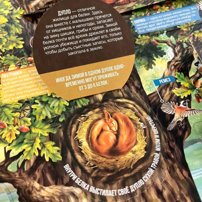 Развивающий плакат Malamalama С окошками. Секреты леса