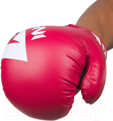 Боксерские перчатки Insane Mars / IN22-BG100 (10oz, красный)