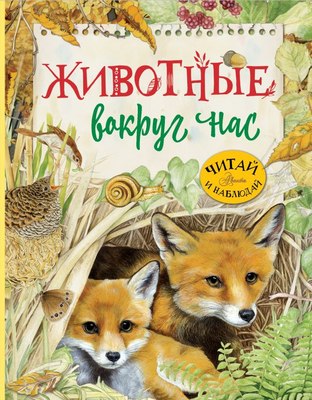 

Развивающая книга, Животные вокруг нас, твердая обложка