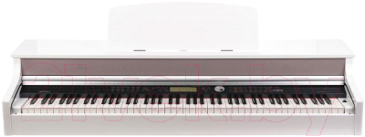 Цифровое фортепиано Medeli DP388-GW (белый глянцевый)
