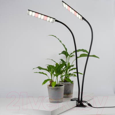 Светильник для растений Uniel ULT-P37-24W/SPFB/TM/60 IP40 Black Twin / UL-00010378