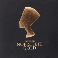 

Струны для электрогитары, NOF10