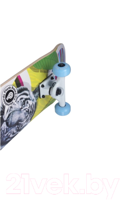 Скейтборд Plank Ptigy P21-SKATE-PTIGY