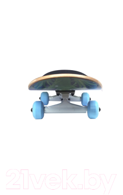 Скейтборд Plank Ptigy P21-SKATE-PTIGY