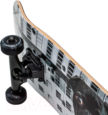 Скейтборд Plank Pug P22-SKATE-PUG