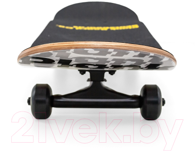 Скейтборд Plank Raccoon P22-SKATE-PACCON