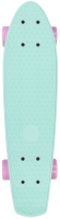 

Круизер Plank, Miniboard P20-MINIBOARD-TF