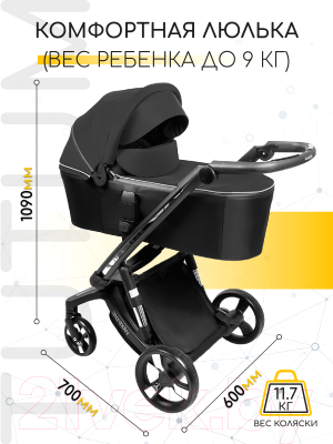 Детская универсальная коляска Amarobaby Tutum 2 в 1 / AB22-10TUTUM/09 (черный)