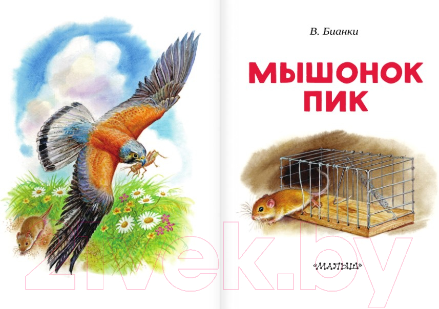 Художественная книга АСТ Мышонок Пик (Бианки В.) — фото 3