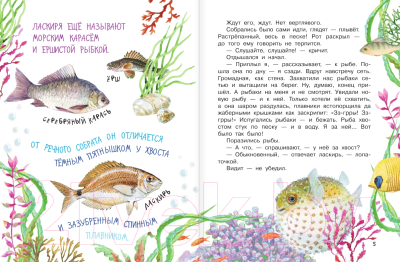 Книга АСТ Морские сказки (Сахарнов С.)