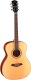 Акустическая гитара Parkwood S62 (с чехлом) - 