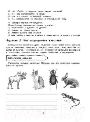 Учебное пособие АСТ Окружающий мир. Повторяем изученное в начальной школе. 4 класс (Зайцев А.)