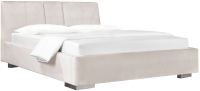Двуспальная кровать ДеньНочь Барри S KR00-23 160x200 (KeKR23.3C/FR01) - 