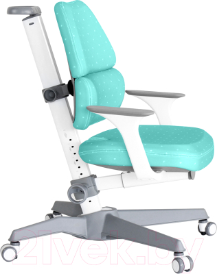 Изображение товара Кресло растущее ТСТ Nanotec Ego-C с подлокотниками (аквамарин)