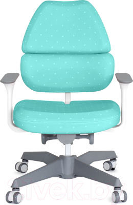 Изображение товара Кресло растущее ТСТ Nanotec Ego-C с подлокотниками (аквамарин)