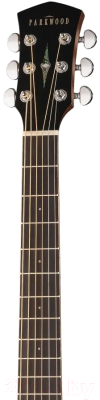 Электроакустическая гитара Parkwood S27-GT (с чехлом)